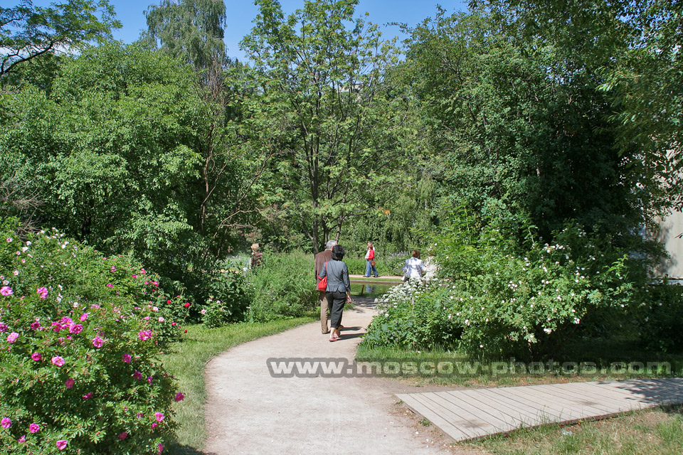 Aptekarsky Botanical Garden