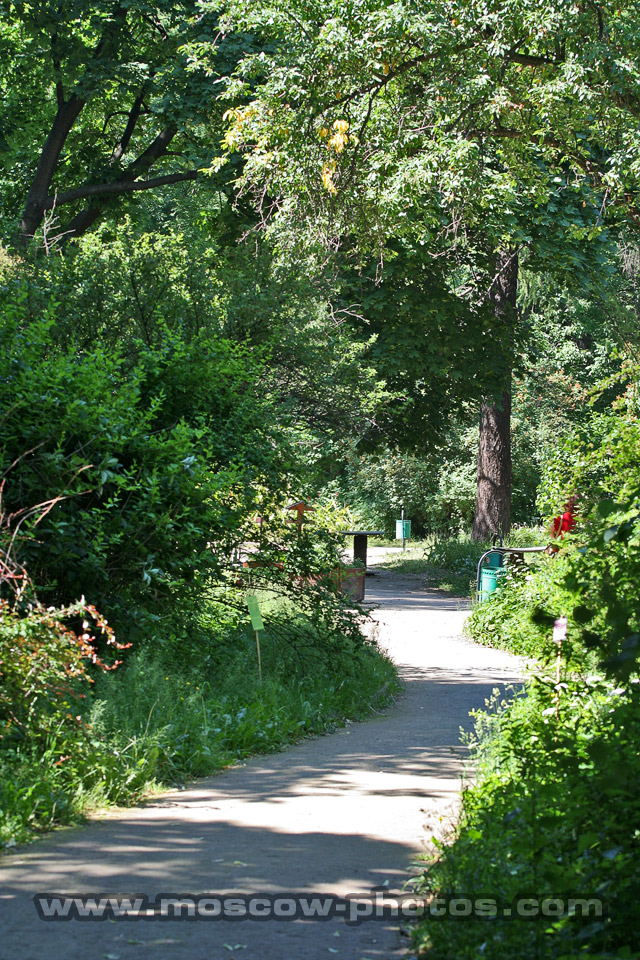 Aptekarsky Botanical Garden