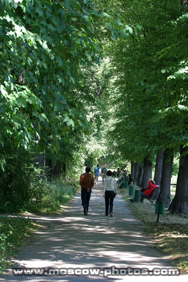 Aptekarsky Botanical Garden