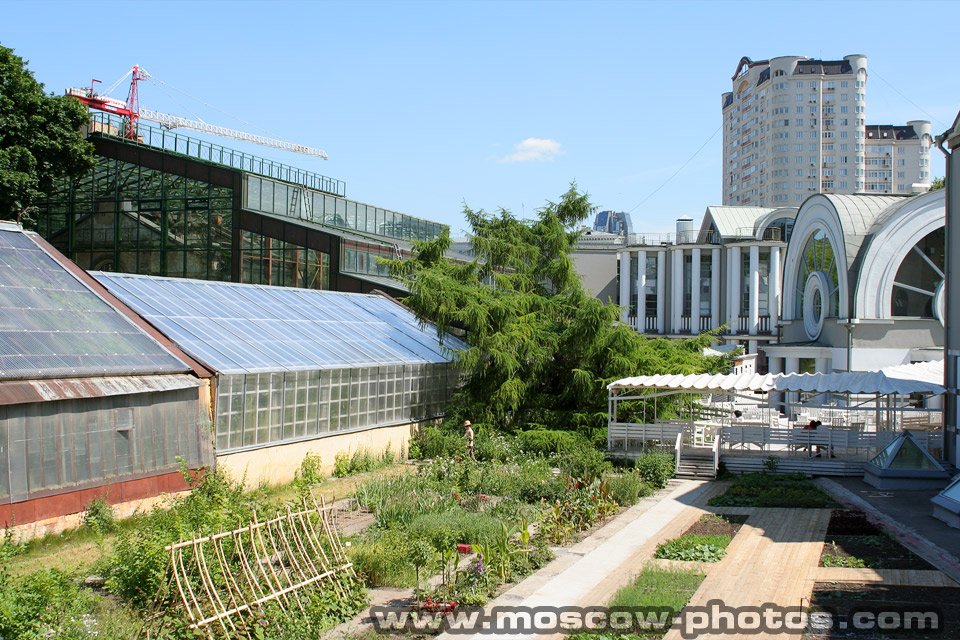 Aptekarsky Botanical Garden