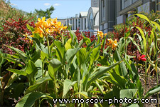 Aptekarsky Botanical Garden