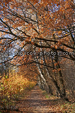 Bitsevsky park 