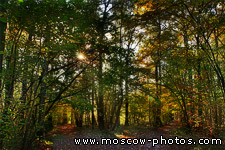 Bitsevsky park 