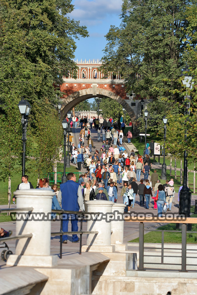 The Figure Bridge
