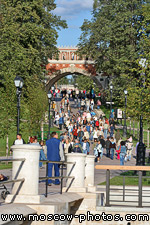 The Figure Bridge