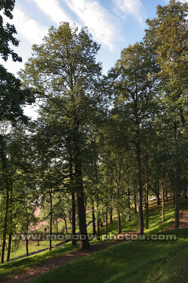 Tsaritsyno forest